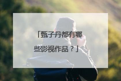 甄子丹都有哪些影视作品？