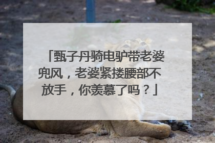 甄子丹骑电驴带老婆兜风，老婆紧搂腰部不放手，你羡慕了吗？