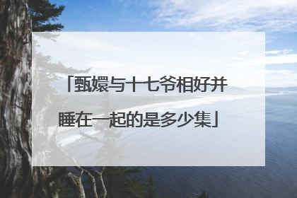 甄嬛与十七爷相好并睡在一起的是多少集