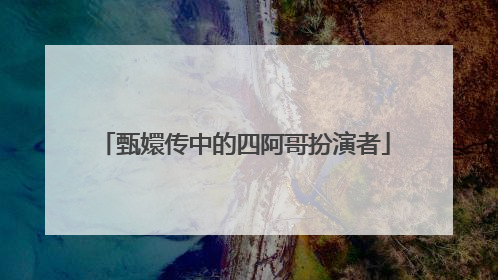 甄嬛传中的四阿哥扮演者