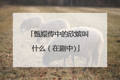 甄嬛传中的欣嫔叫什么（在剧中)