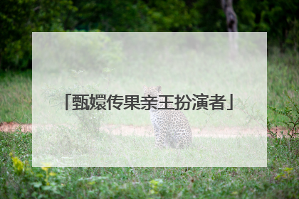 甄嬛传果亲王扮演者