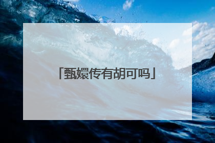 甄嬛传有胡可吗