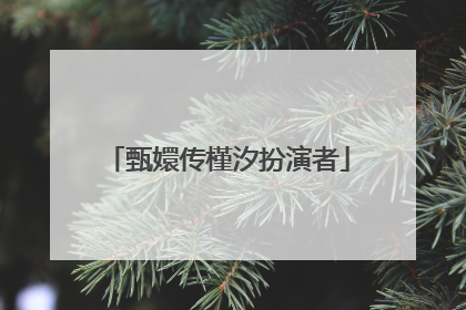 甄嬛传槿汐扮演者