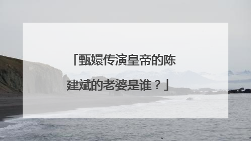 甄嬛传演皇帝的陈建斌的老婆是谁?