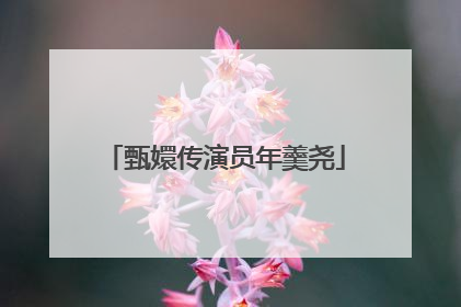 甄嬛传演员年羹尧