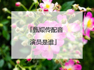 甄嬛传配音演员是谁