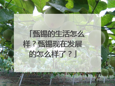 甄锡的生活怎么样?甄锡现在发展的怎么样了?