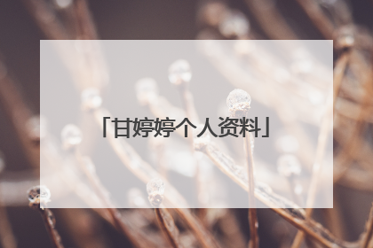 甘婷婷个人资料