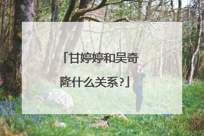 甘婷婷和吴奇隆什么关系?