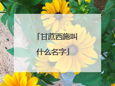 甘蔗西施叫什么名字