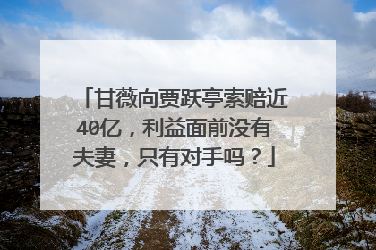 甘薇向贾跃亭索赔近40亿，利益面前没有夫妻，只有对手吗？