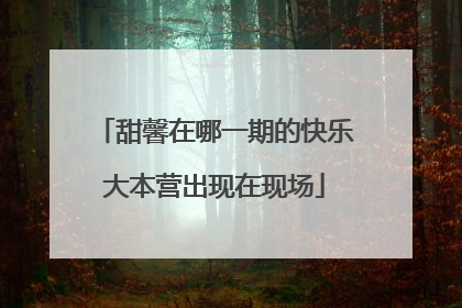 甜馨在哪一期的快乐大本营出现在现场