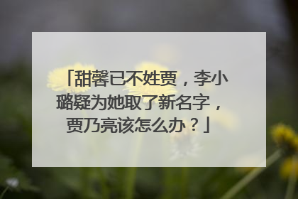 甜馨已不姓贾,李小璐疑为她取了新名字,贾乃亮该怎么办?