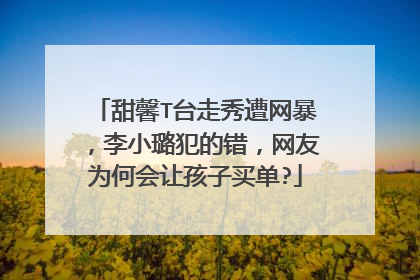 甜馨T台走秀遭网暴，李小璐犯的错，网友为何会让孩子买单?