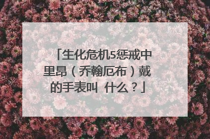 生化危机5惩戒中里昂（乔翰厄布）戴的手表叫 什么？