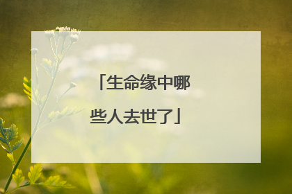 生命缘中哪些人去世了