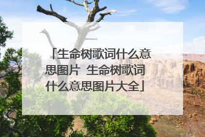 生命树歌词什么意思图片 生命树歌词什么意思图片大全