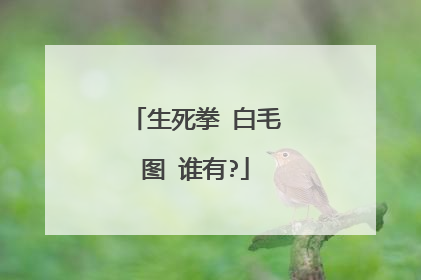 生死拳 白毛图 谁有?