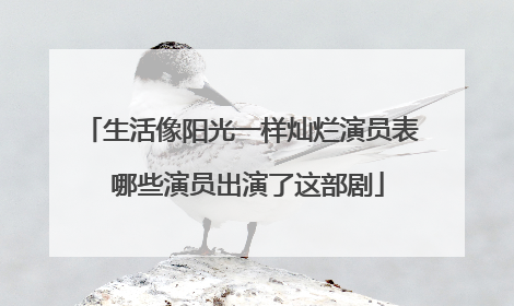 生活像阳光一样灿烂演员表 哪些演员出演了这部剧