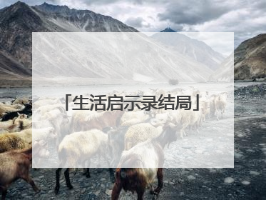 生活启示录结局