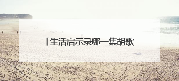 生活启示录哪一集胡歌把闫妮推墙上吻的?