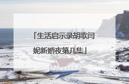 生活启示录胡歌闫妮新婚夜第几集