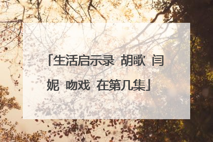 生活启示录 胡歌 闫妮 吻戏 在第几集