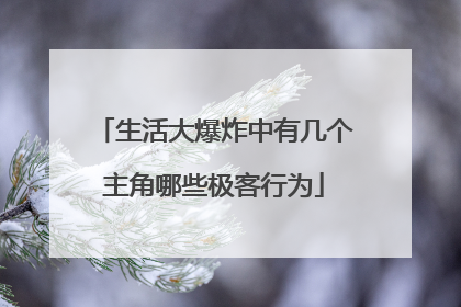 生活大爆炸中有几个主角哪些极客行为
