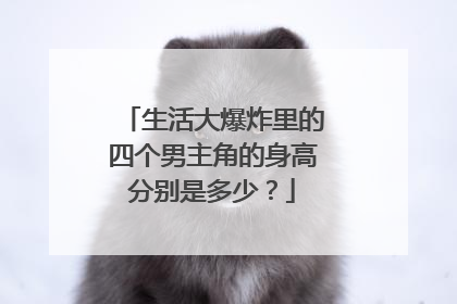 生活大爆炸里的四个男主角的身高分别是多少?