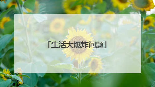 生活大爆炸问题