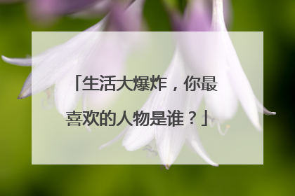 生活大爆炸，你最喜欢的人物是谁？