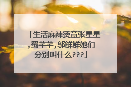生活麻辣烫章张星星,蜀芊芊,邬鲜鲜她们分别叫什么???