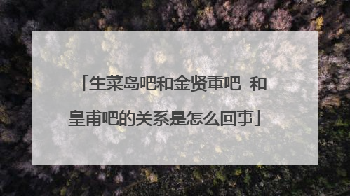 生菜岛吧和金贤重吧 和皇甫吧的关系是怎么回事