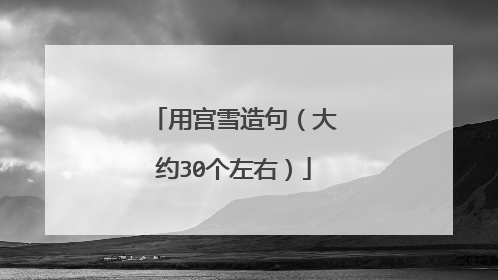 用宫雪造句（大约30个左右）