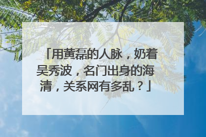 用黄磊的人脉,奶着吴秀波,名门出身的海清,关系网有多乱?
