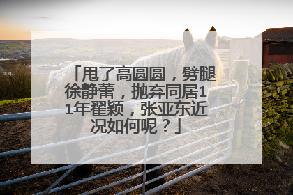 甩了高圆圆,劈腿徐静蕾,抛弃同居11年翟颖,张亚东近况如何呢?
