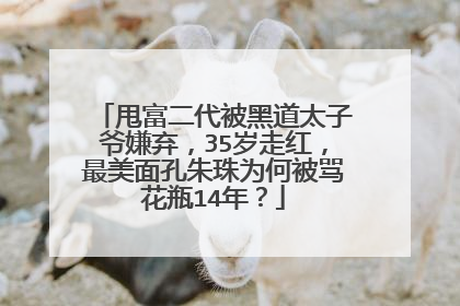甩富二代被黑道太子爷嫌弃,35岁走红,最美面孔朱珠为何被骂花瓶14年?