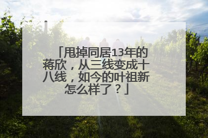 甩掉同居13年的蒋欣,从三线变成十八线,如今的叶祖新怎么样了?