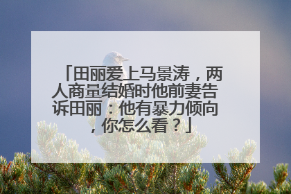 田丽爱上马景涛，两人商量结婚时他前妻告诉田丽：他有暴力倾向，你怎么看？