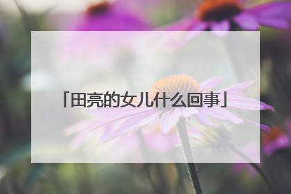 田亮的女儿什么回事