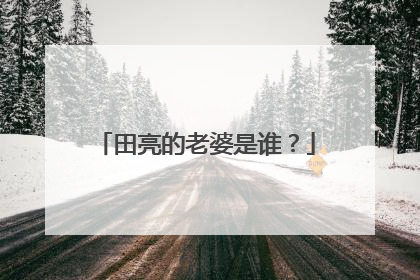 田亮的老婆是谁？