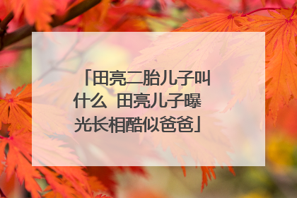 田亮二胎儿子叫什么 田亮儿子曝光长相酷似爸爸