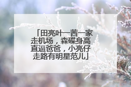 田亮叶一茜一家走机场，森碟身高直逼爸爸，小亮仔走路有明星范儿