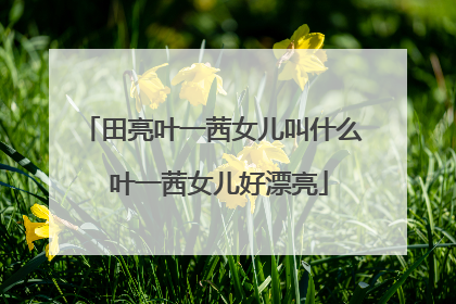 田亮叶一茜女儿叫什么 叶一茜女儿好漂亮