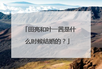 田亮和叶一茜是什么时候结婚的？