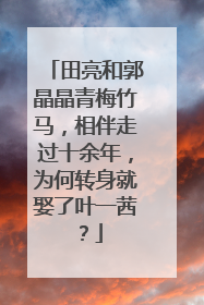 田亮和郭晶晶青梅竹马，相伴走过十余年，为何转身就娶了叶一茜？