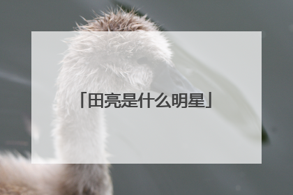 田亮是什么明星