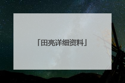 田亮详细资料