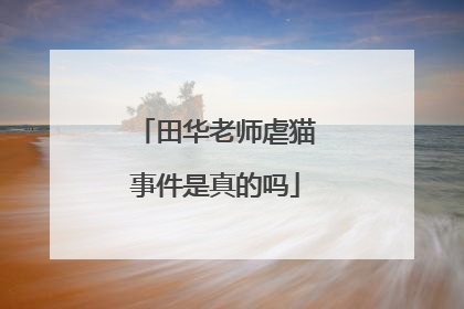 田华老师虐猫事件是真的吗